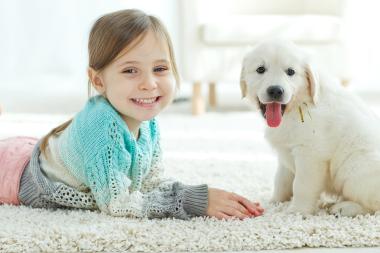 Hundehaftpflicht Vergleich