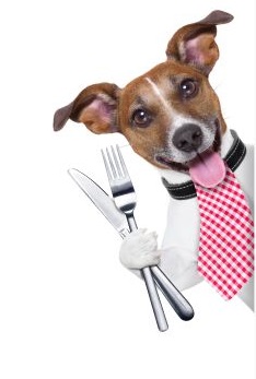 Viele Hunde essen zu viel