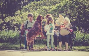 Worauf man bei einem Welpen als neues Familienmitglied achten sollte