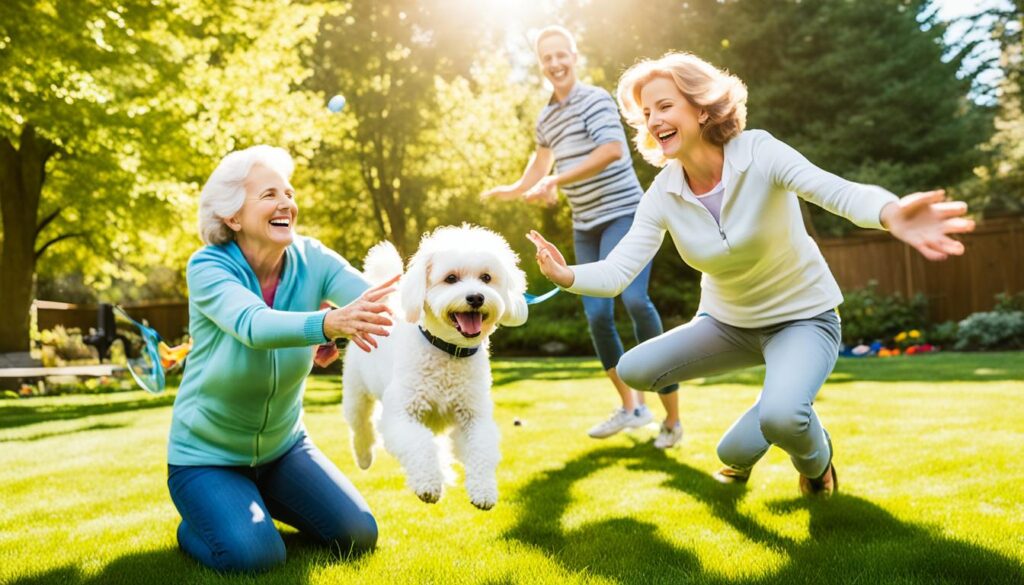 Bichon Frisé als Familienhund