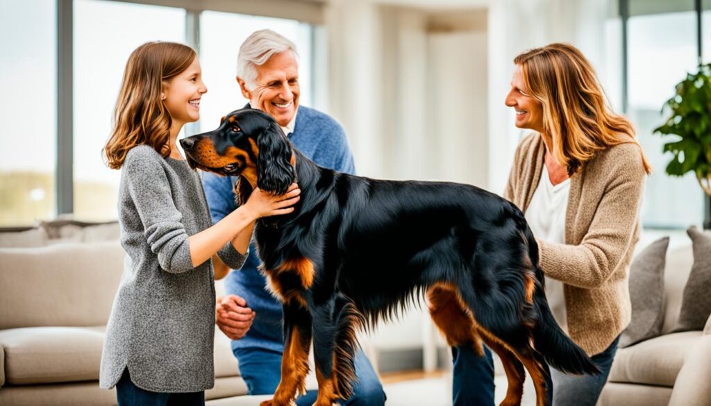Gordon Setter – Eleganter Familienhund & Begleiter
