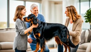 Gordon Setter