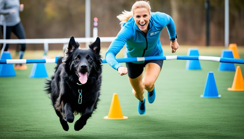 Hovawart Training